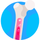 Bone Marrow Transplantation